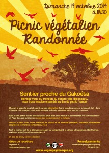 Picnic végétalien et randonnée à Gakoéta - Gakoetan piknik beganoa eta ibilaldia